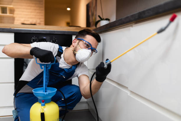 Best Wildlife Control Services  in Hampstead, NC