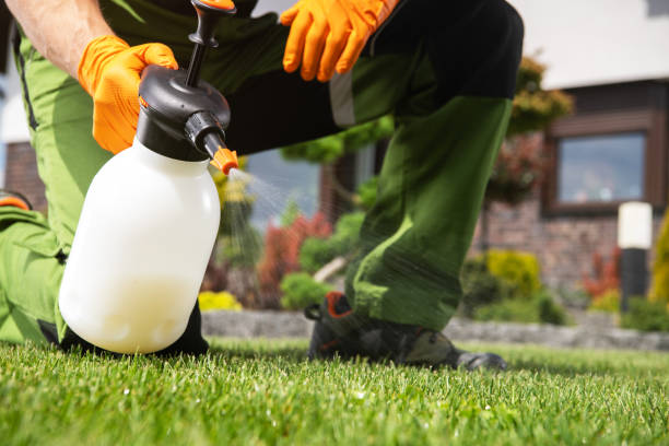 Best Cockroach Control Services  in Hampstead, NC
