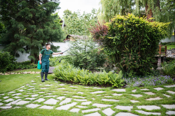 Best Affordable Pest Control Services  in Hampstead, NC