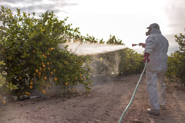Best Pest Removal Services  in Hampstead, NC