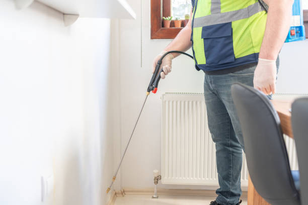 Best Pest Control Near Me  in Hampstead, NC