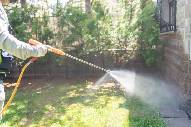 Best Wildlife Control Services  in Hampstead, NC