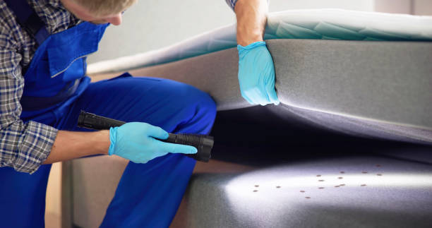 Best Pest Prevention Services  in Hampstead, NC