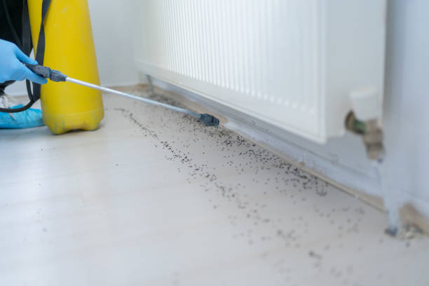 Best Pest Prevention Services  in Hampstead, NC